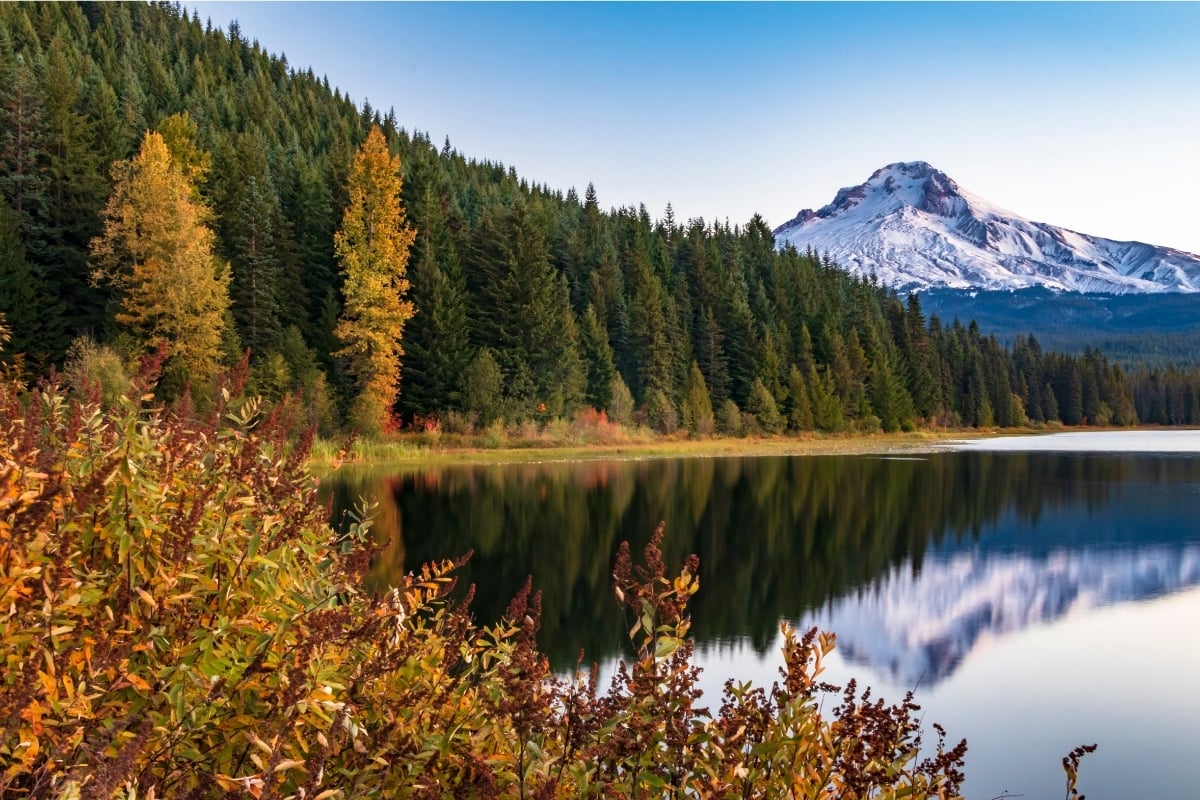 While summer and winter tend to steal the spotlight in Oregon, there’s something uniquely magical about late fall in Mt. Hood Territory.