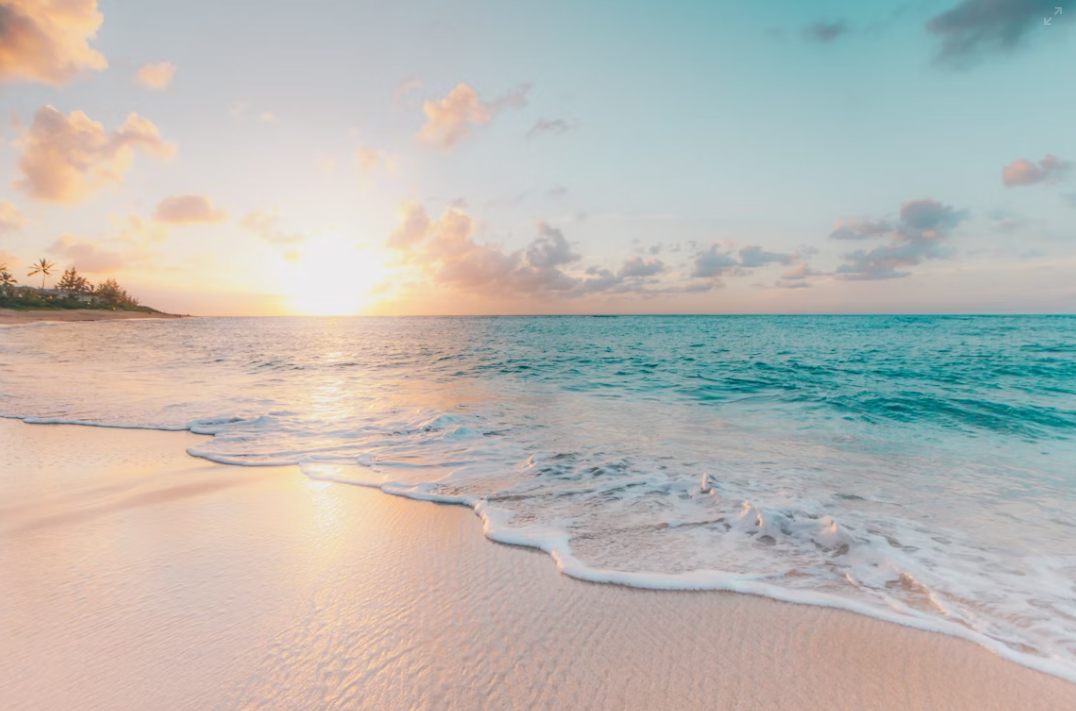 Seattle Fall Issue_2-1