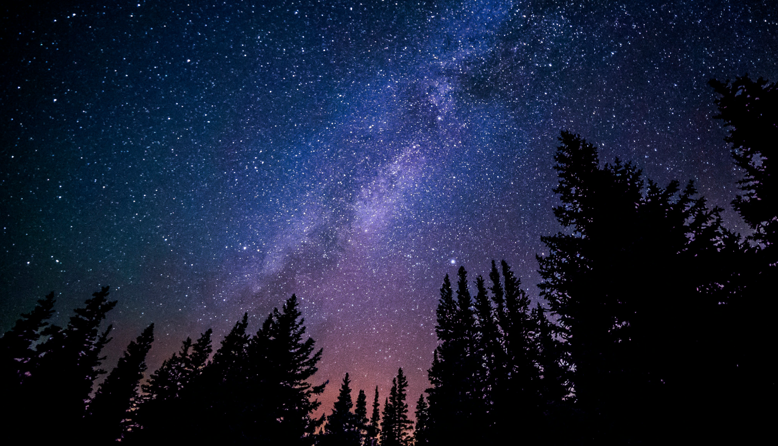 Seattle Winter Issue_5